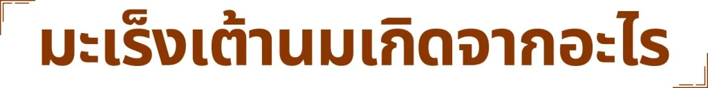 Muni plus มูนิพลัส ก้อนเนื้อ เนื้องอก มะเร็งเต้านม มะเร็งมดลูก มะเร็งรังไข่ เนื้องอกรังไข่ ภูมิแพ้ ไวรัส แบคทีเรีย อาหารเสริม วิตามิน สารสกัด สารอาหาร ปวดท้อง ปวดประจำเดือน