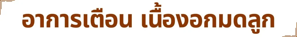 Muni plus มูนิพลัส ก้อนเนื้อ เนื้องอก มะเร็งเต้านม มะเร็งมดลูก มะเร็งรังไข่ เนื้องอกรังไข่ ภูมิแพ้ ไวรัส แบคทีเรีย อาหารเสริม วิตามิน สารสกัด สารอาหาร ปวดท้อง ปวดประจำเดือน