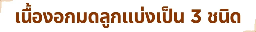 Muni plus มูนิพลัส ก้อนเนื้อ เนื้องอก มะเร็งเต้านม มะเร็งมดลูก มะเร็งรังไข่ เนื้องอกรังไข่ ภูมิแพ้ ไวรัส แบคทีเรีย อาหารเสริม วิตามิน สารสกัด สารอาหาร ปวดท้อง ปวดประจำเดือน